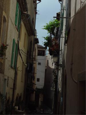 g4/04/658504/3/59210079.BIOT11.jpg