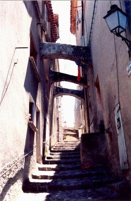 g4/04/658504/3/59572830.Biot5.jpg