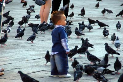 Boy with Mowhawl survives bird attack in St Mark's Square