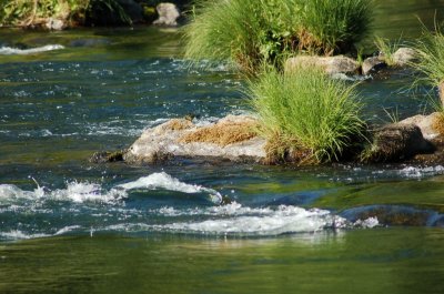 Some river action...........