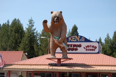I've got a Grizzly on my roof ?