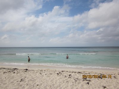 Swimming in the clear, blue waters of the Carribbean