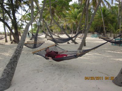 IMG_0260.JPG