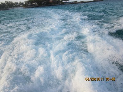IMG_0268.JPG