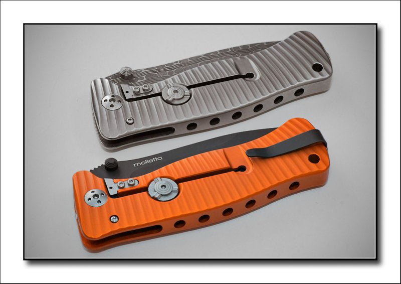 Lion Steel SR-1 - Aluminium Folder with D2 blade and SR-1 Titanium