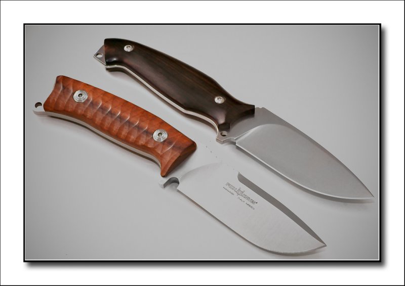 Fox Pro Hunter Fixed and Viper Pointer