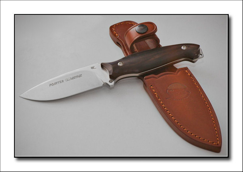 Viper Pointer