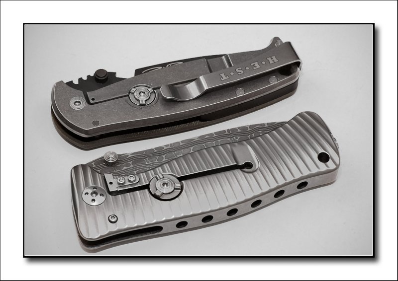 SR-1 - DPX Hest 2