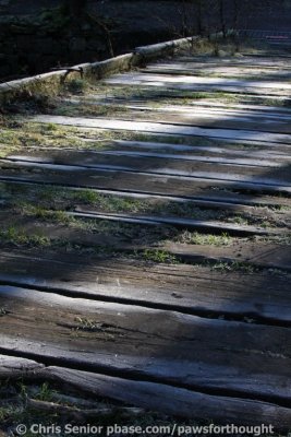 CS_0025.JPG