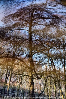CS_0026_fhdr.jpg