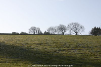 CS_0055.JPG