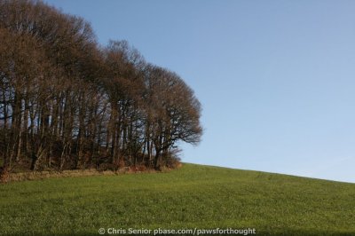 CS_0070.JPG
