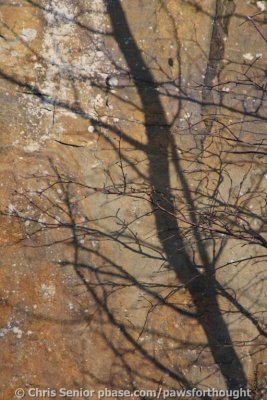 CS_0079.JPG