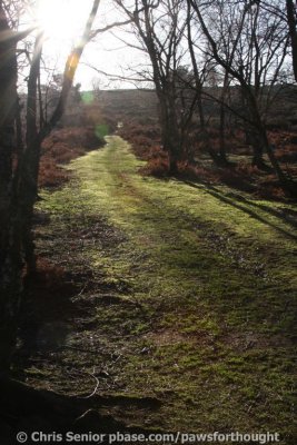 CS_0088.JPG