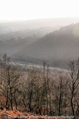 CS_0113_fhdr.jpg