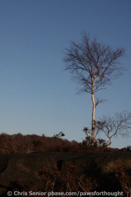 CS_0125.JPG