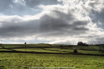 CS_0182_fhdr.jpg