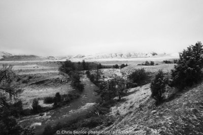 CS_0032.JPG