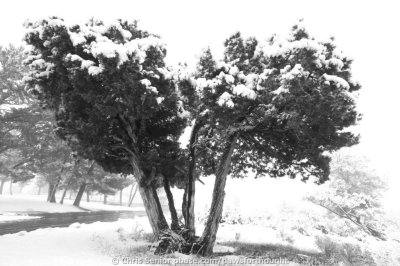 CS_0075.JPG