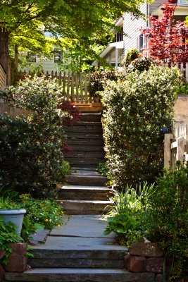 steps