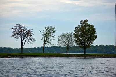 river scenery