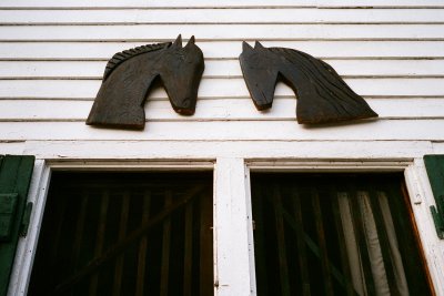 horse heads-driftwood art