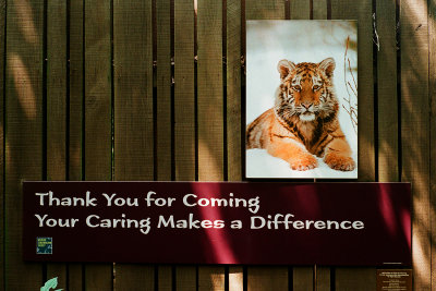 Wildlife Conservation Society (aka the Bronx Zoo)