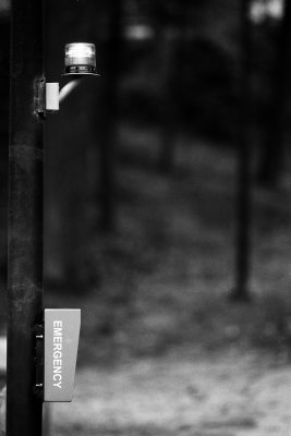 Kodak Tmax 100