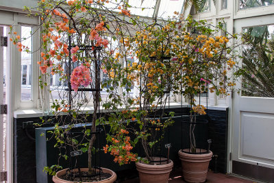 garden house