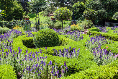 monet garden