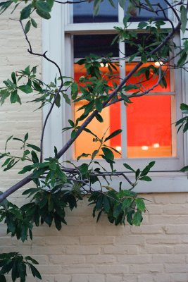 Congress Hall detail
