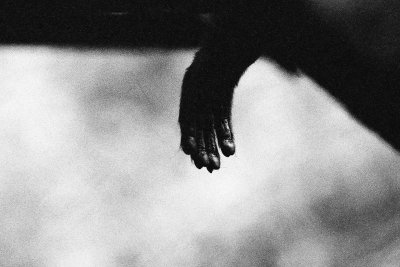  hand