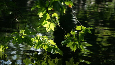 DSC01496.JPG