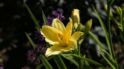 DSC01948.JPG