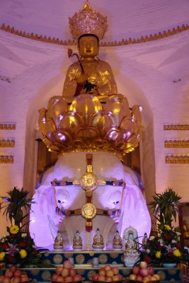 Samantabhadra Buddha