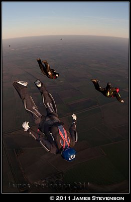 hib_a296.jpg
