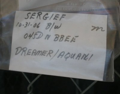Sergief082.JPG