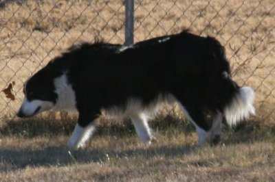 January 1 2008 1171.JPG
