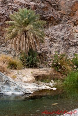Oman Landscapes