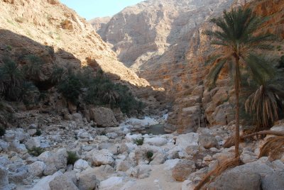 Wadi Shab03.JPG