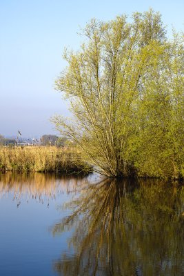 Clairmarais St-Omer (Pas-de-Calais)