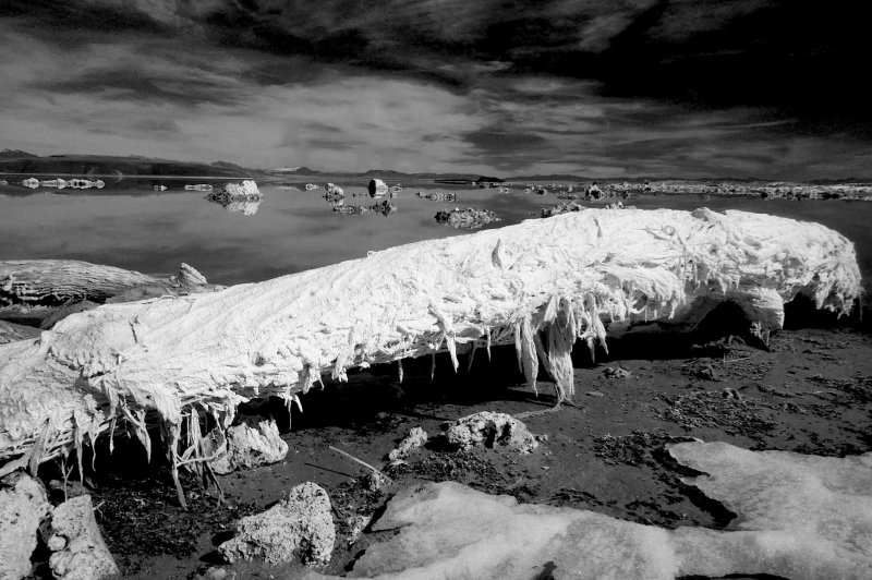 mono lake, california