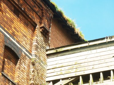 the original green roof