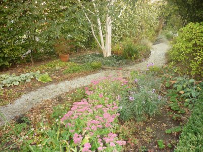 The garden October 2011
