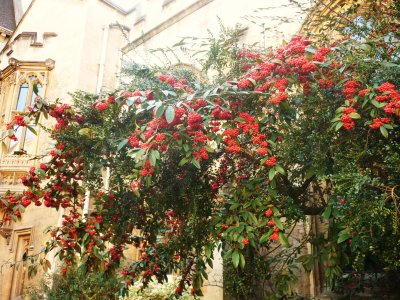 P1070197 - Copy.JPG