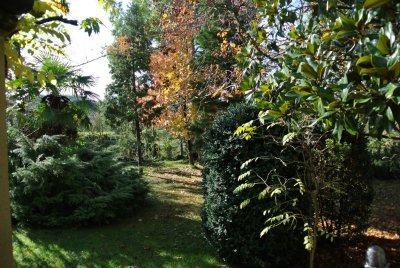 DSC_0257.JPG