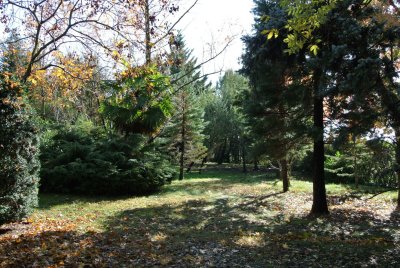 DSC_0276.JPG