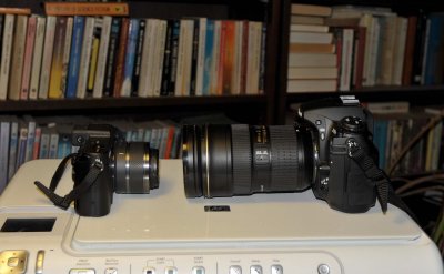 DSC_2824.jpg