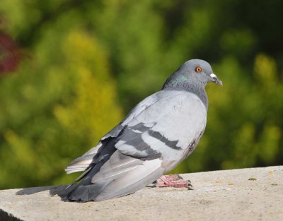 DSC_3289c.jpg