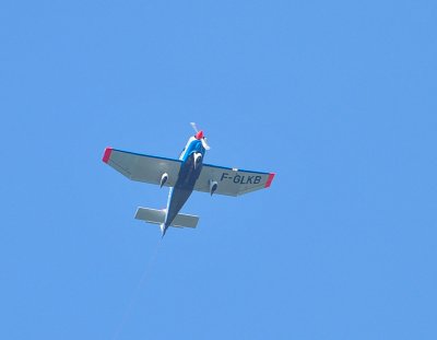 DSC_3450c.jpg
